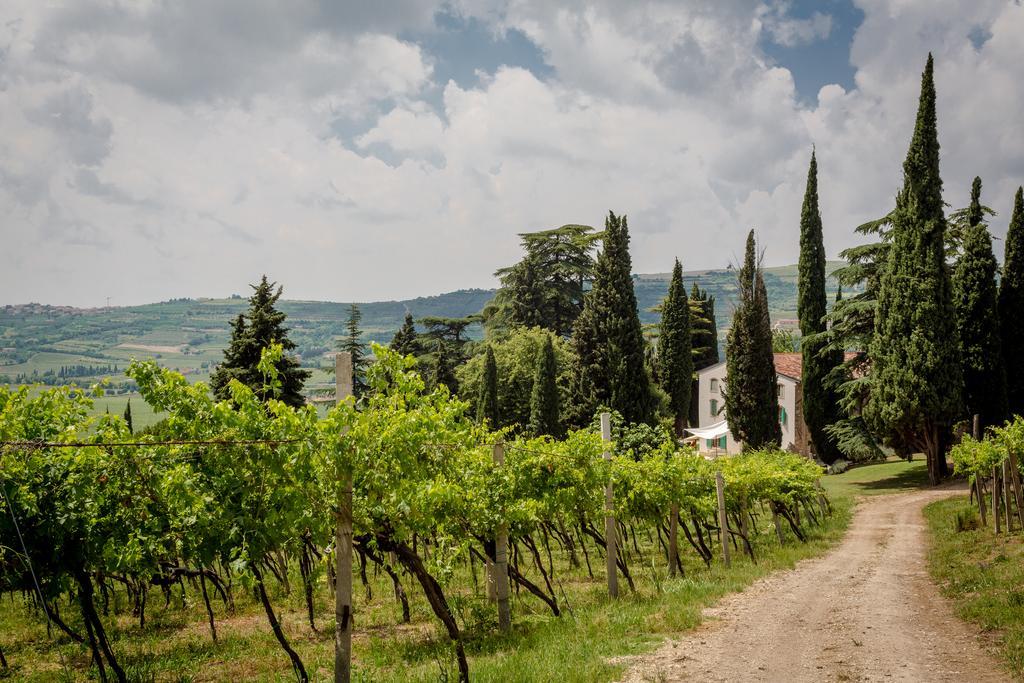 Willa Massimago Wine Relais Mezzane di Sotto Zewnętrze zdjęcie